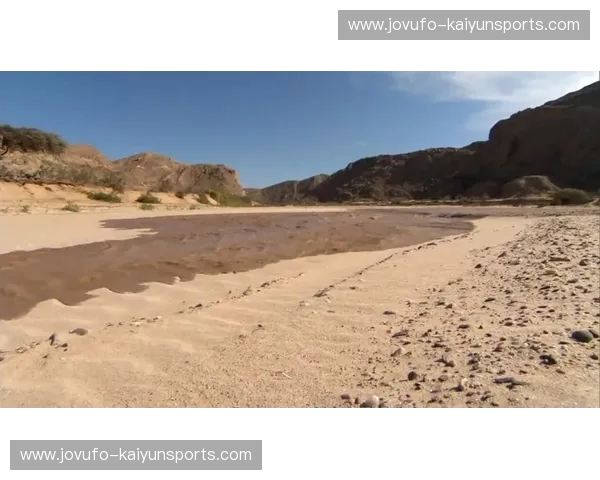 资讯利雅得新月——在沙漠边际遇见世界的脉动