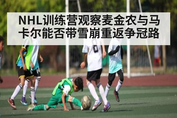 NHL训练营观察麦金农与马卡尔能否带雪崩重返争冠路 | kaiyun